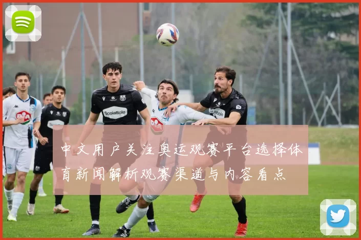 中文用户关注奥运观赛平台选择体育新闻解析观赛渠道与内容看点