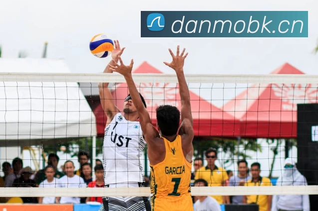 多媒体互动体验